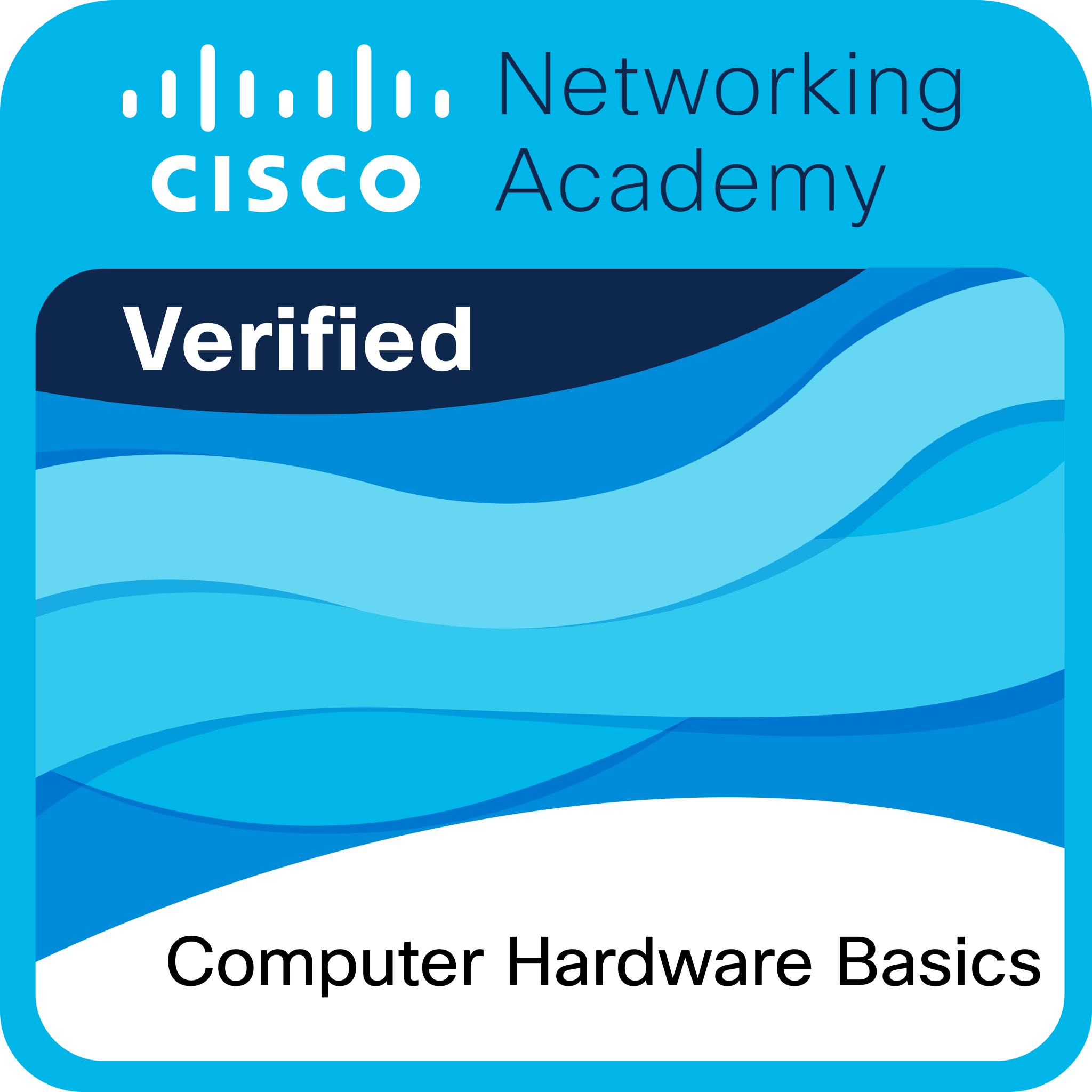 Badge Cisco Computer Hardware Basics